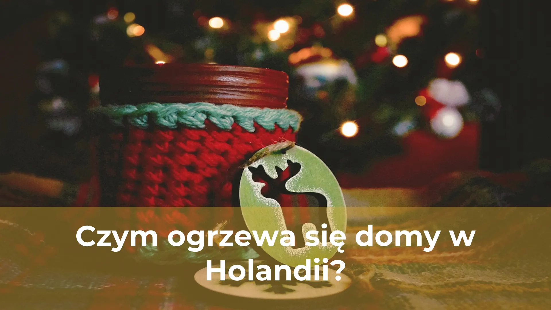 Czym ogrzewa się domy w holandii